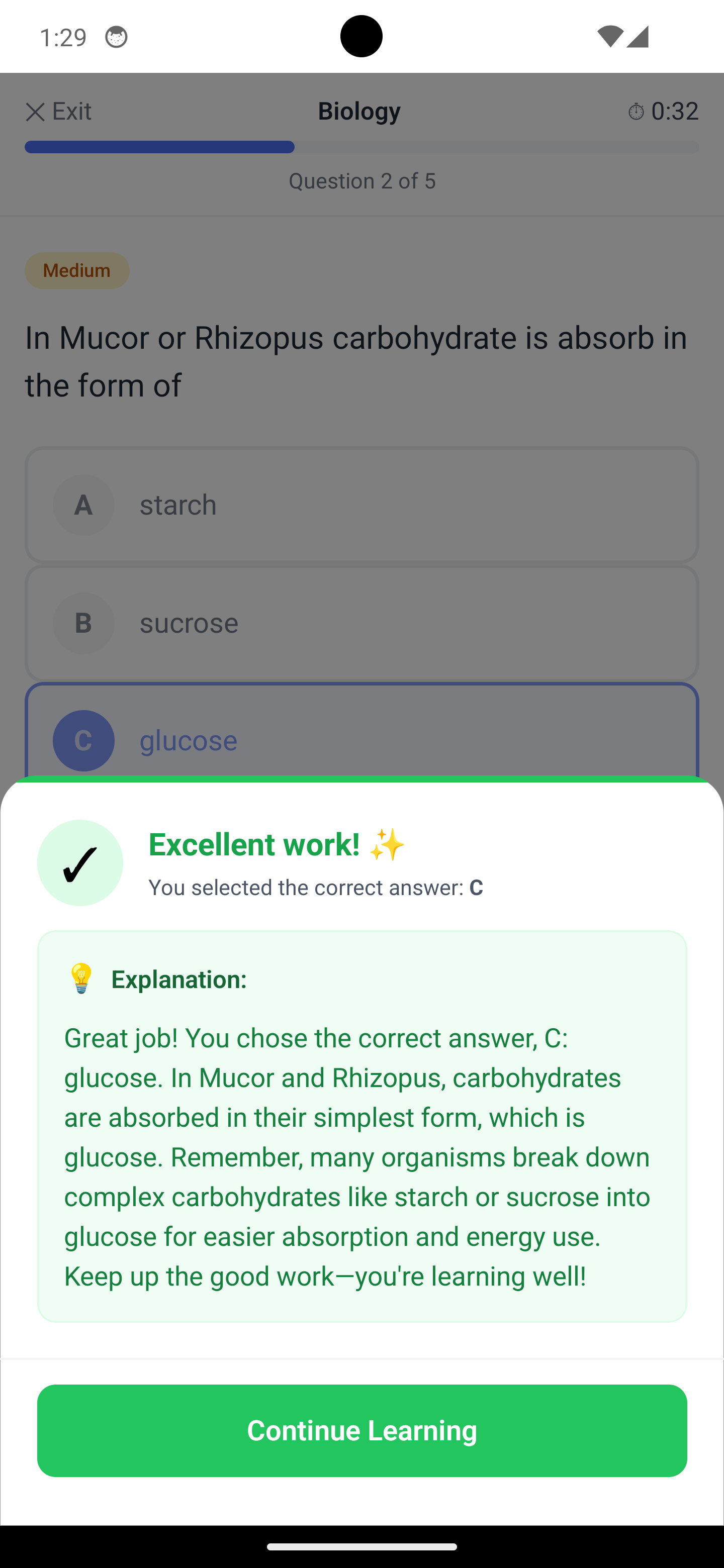 AI Feedback